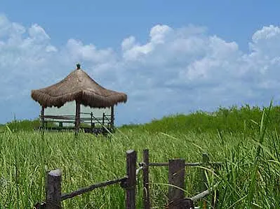 Desire Riviera Maya Pearl Resort 5*,  멕시코